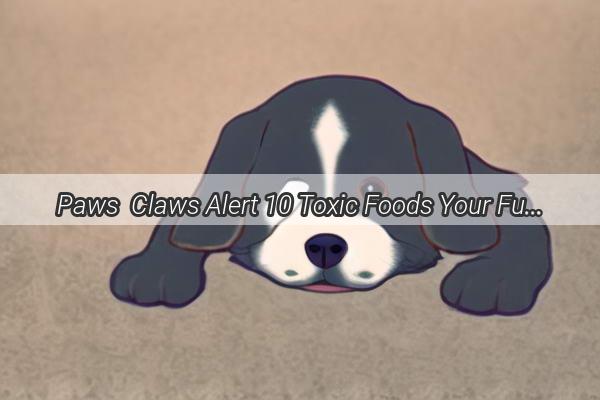 Paws  Claws Alert 10 Toxic Foods Your Furry Friends Should Never Taste